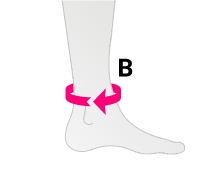 elastic ankle1