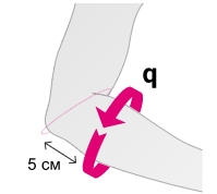 elbow support1